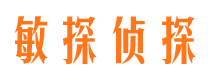 合山侦探公司